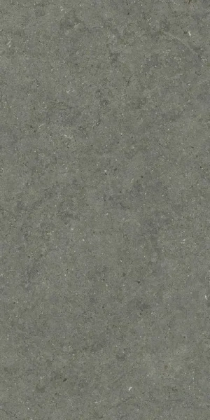 Керамогранит  / Италон / Italon / Forum / Форум/ Стоун Айрон 60x120 / STONE IRON 60X120